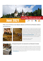 Juni newsletter preview